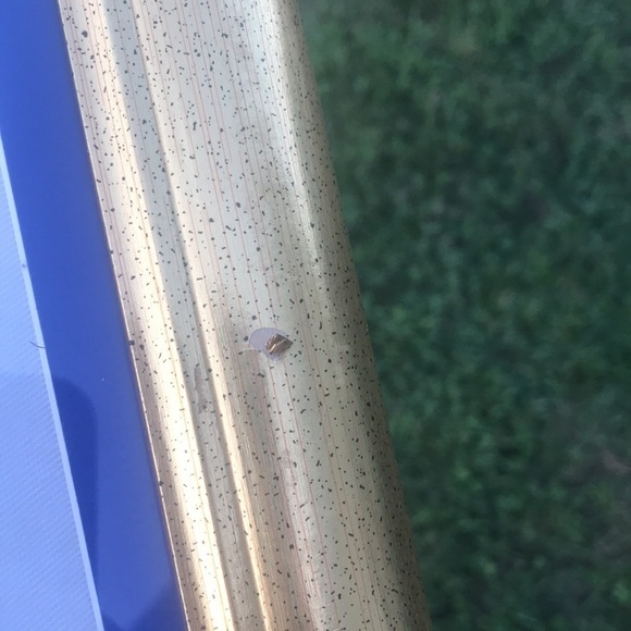 VTG framed Knitting Kitten Cat cross stitch. Cat lovers. love me, love my cat. - Picture 3 of 6